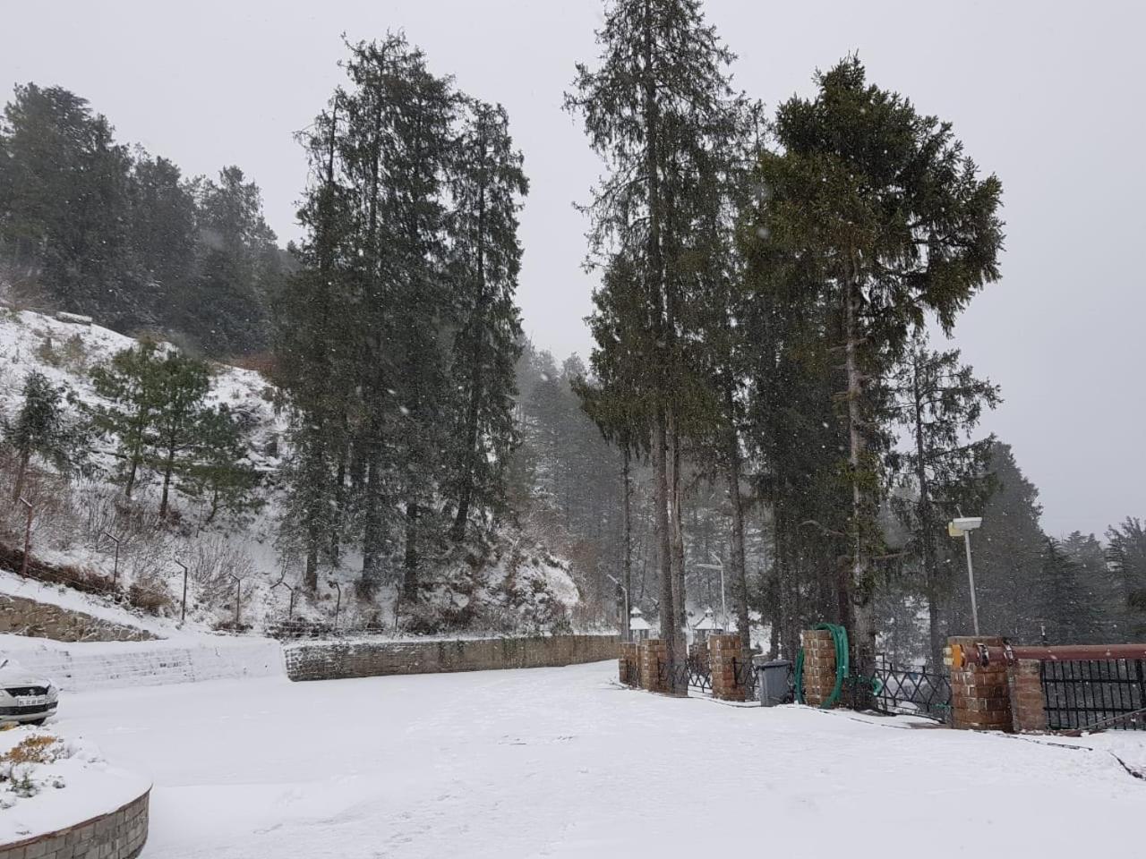 Royal Tulip Luxury Hotel, Kufri, Shimla Ngoại thất bức ảnh